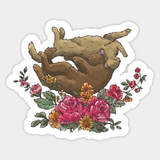 Cutie cats poses in flowers Sticker